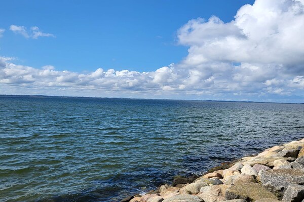 Foto van 6 persoons vakantie huis in Løgstør - Vakantiehuis in Løgstør - WaterView