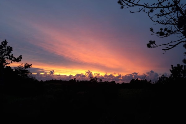 Foto van Afgelegen toevlucht bij Limfjorden -- By Traum Ferienwohnungen - Untagged