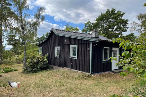 Foto van 6 persoons vakantie huis in ROCKNEBY-By Traum - Vakantiehuis in ROCKNEBY - Outdoor