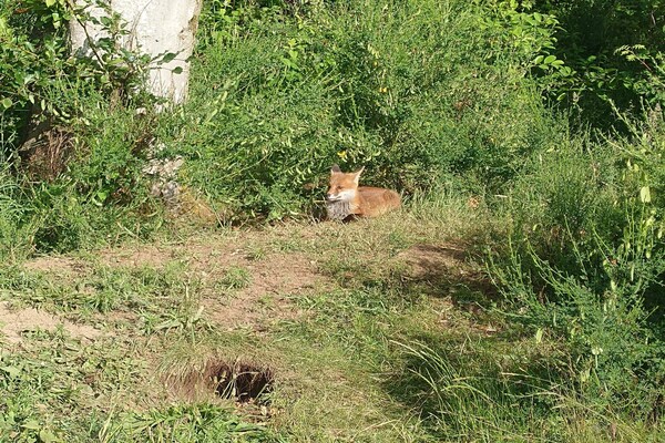 Foto van 6 persoons vakantie huis in Nibe-By Traum - Vakantiehuis in Nibe - WaterView