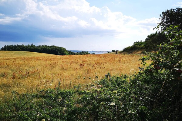 Foto van 6 persoons vakantie huis in Knebel-By Traum - Vakantiehuis in Knebel - Untagged