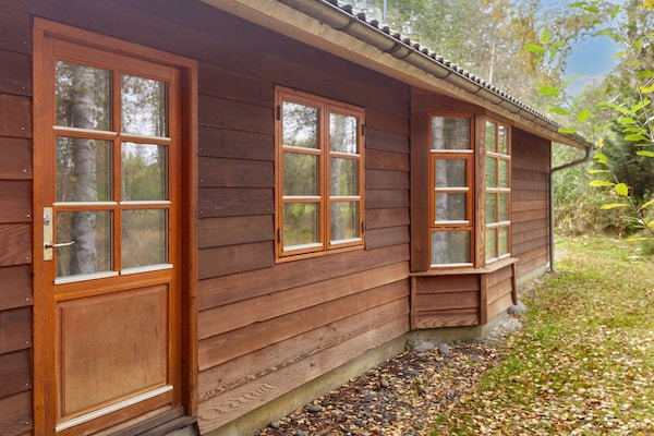 Foto van 6 persoons vakantie huis in Læsø-By Traum - Vakantiehuis in Læsø - View