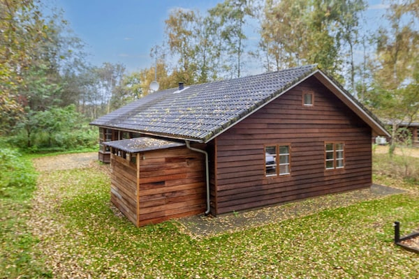 Foto van 6 persoons vakantie huis in Læsø-By Traum - Vakantiehuis in Læsø - View