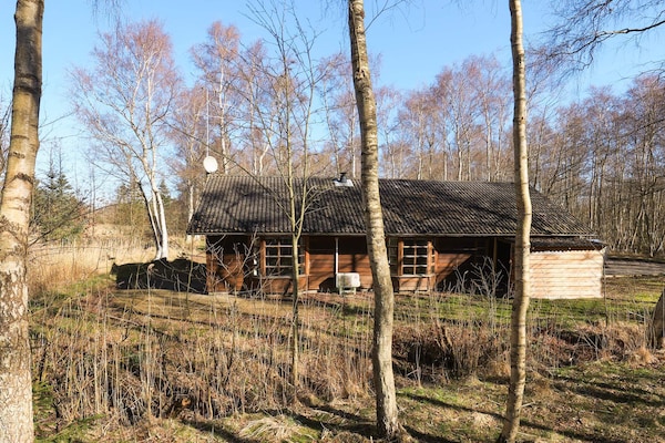 Foto van 6 persoons vakantie huis in Læsø-By Traum - Vakantiehuis in Læsø - View