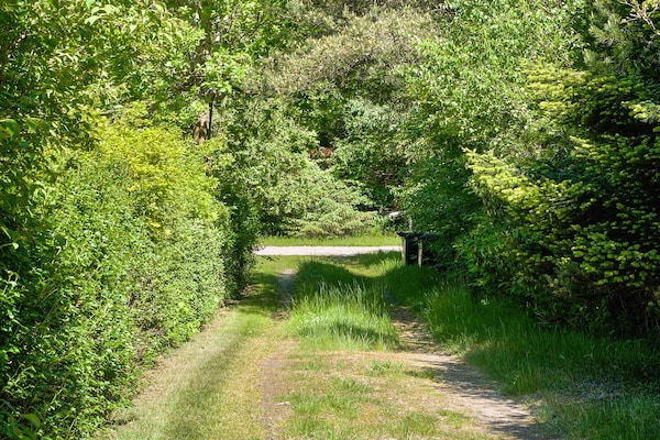 Foto van 6 persoons vakantie huis in Nykøbing Sj-By Traum - Vakantiehuis in Nykøbing Sj - Indoor