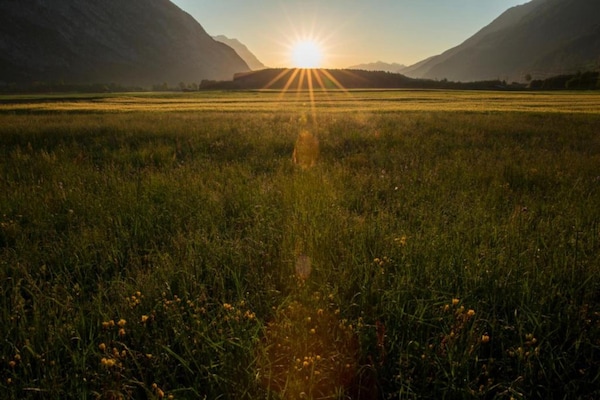 Foto van Luxe appartement met tuin (zonder borg) - Vakantiehuis in Ehrwald - AreaSummer20KM