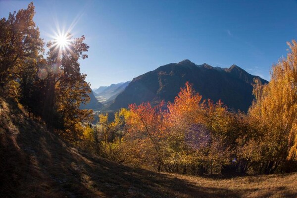 Foto van Luxe appartement met tuin (zonder borg) - Vakantiehuis in Ehrwald - AreaSummer20KM