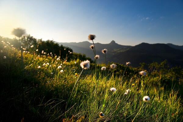 Foto van Appartement in Damüls bij Wandelpaden - Vakantiehuis in Damüls - AreaSummer20KM