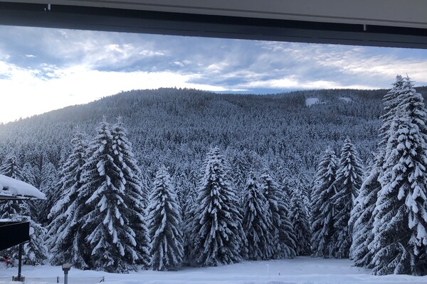 Foto van Luxe appartement met een fantastisch bergpanorama - Vakantiehuis in Ebene Reichenau - Outdoor