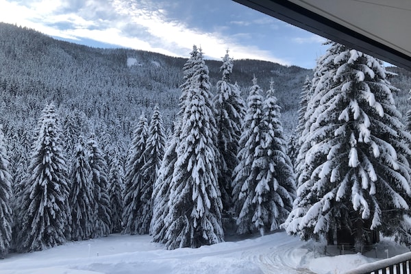 Foto van Luxe appartement met een fantastisch bergpanorama - Vakantiehuis in Ebene Reichenau - Outdoor