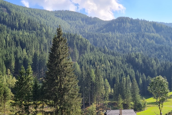 Foto van Luxe appartement met een fantastisch bergpanorama - Vakantiehuis in Ebene Reichenau - Outdoor