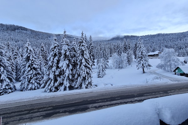 Foto van Luxe appartement met een fantastisch bergpanorama - Vakantiehuis in Ebene Reichenau - Outdoor