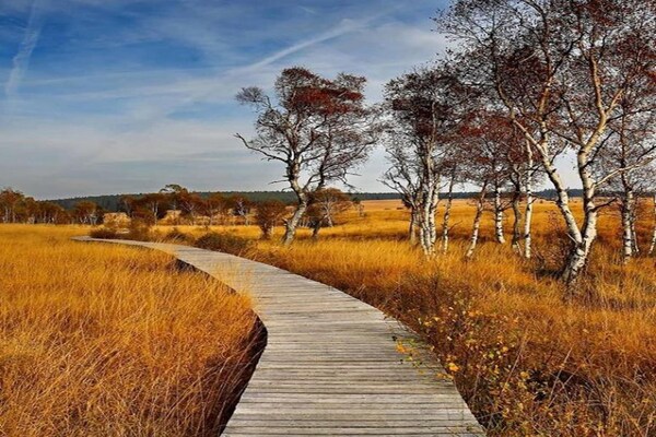 Foto van Luxe spakasteel met zwembad. - Vakantiehuis in Spa - AreaSummer20KM