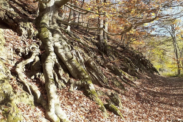 Foto van Luxe spakasteel met zwembad. - Vakantiehuis in Spa - AreaSummer20KM
