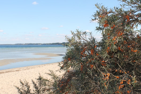Foto van Groepsvakantie in een vakantiehuis in Zierow voor 12 gasten - AreaSummer5KM