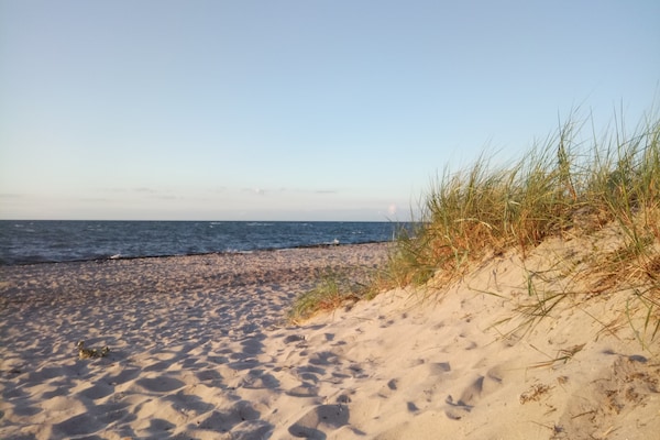 Foto van Vakantiehuis in Zierow - Vakantiehuis in Zierow - AreaSummer20KM