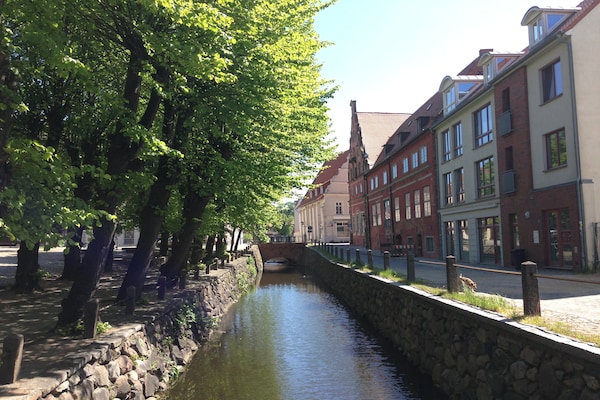 Foto van Vakantiehuis in Zierow - Vakantiehuis in Zierow - AreaSummer20KM