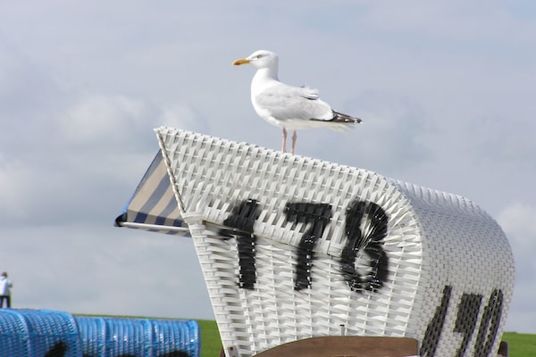 Foto van Vakantiehuis in Zierow - Vakantiehuis in Zierow - Ambiance