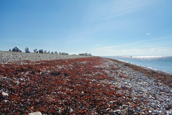 Foto van Gezellig vakantieappartement op Fehmarn - Vakantiehuis in Petersdorf - AreaSummer20KM