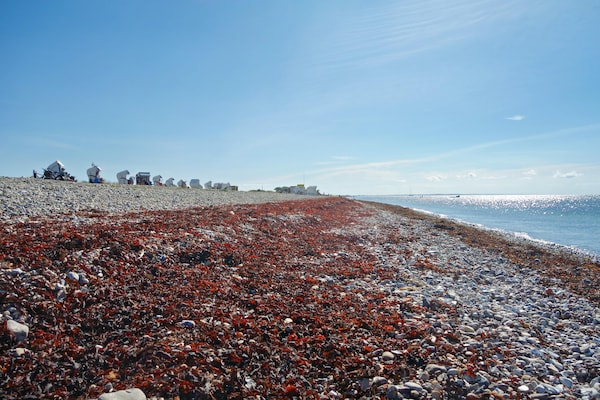 Foto van Charmant vakantiehuis met tuin op Fehmarn - Vakantiehuis in Petersdorf - AreaSummer5KM