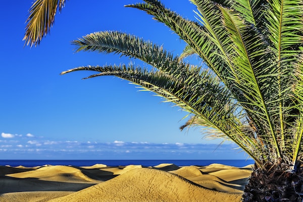 Foto van Vakantiehuis bij Playa de Las Canteras - Vakantiehuis in Las Palmas de Gran Canaria - Outdoor