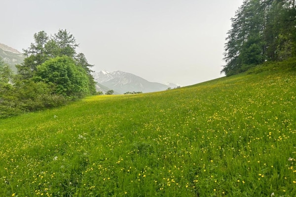 Foto van Appartement in Allos met Bergzicht - Vakantiehuis in Allos - AreaSummer20KM