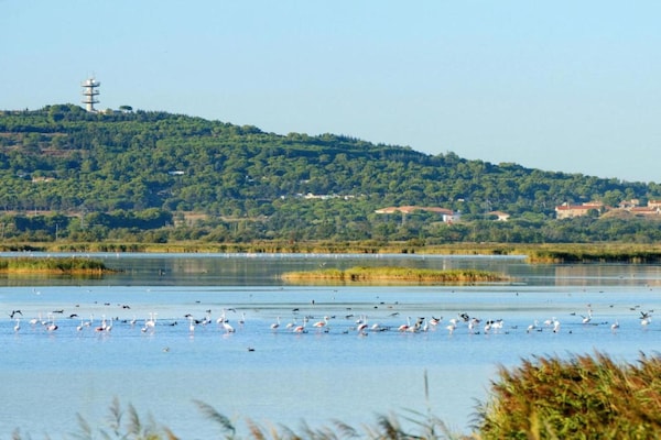 Foto van Zonnig appartement aan het water - Vakantiehuis in Agde - AreaSummer20KM