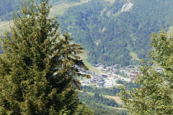 Foto van Appartement in Doucy met Uitzicht op Bergen - Vakantiehuis in Doucy - AreaSummer20KM