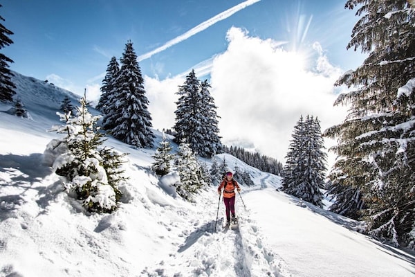 Foto van Appartement Corina voor 5 personen - Vakantiehuis in Châtel - AreaWinter5KM