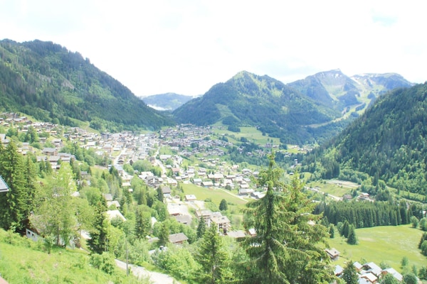 Foto van Appartement Corina voor 5 personen - Vakantiehuis in Châtel - ViewSummer
