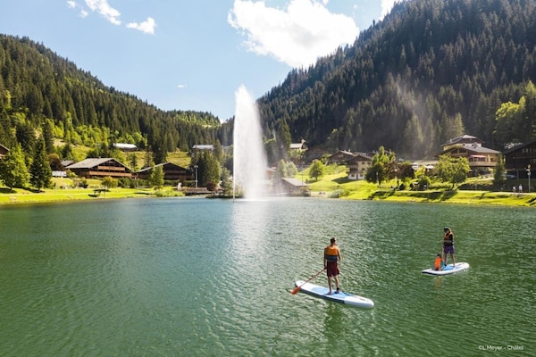 Foto van Perce Neige appartement voor 4 personen - Vakantiehuis in Châtel - AreaSummer20KM