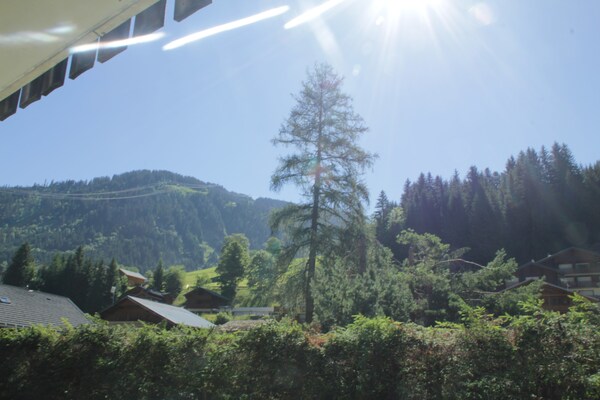 Foto van Appartement voor 6 personen in Chatel - Vakantiehuis in Châtel - Outdoor