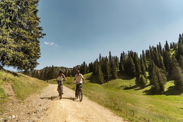 Foto van Appartement in Chatel voor 4 personen - Vakantiehuis in Châtel - AreaSummer1KM