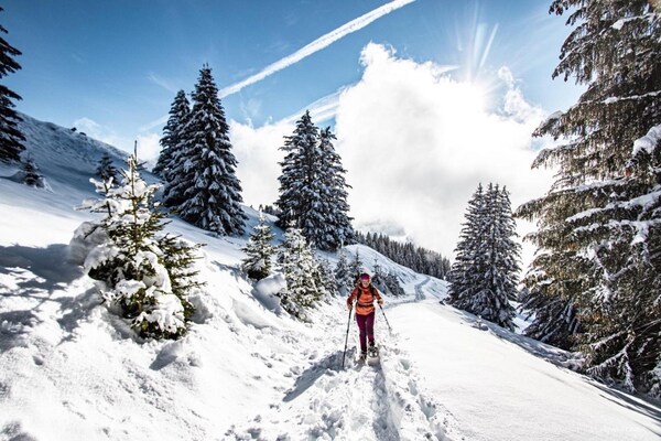 Foto van Appartement in Chatel voor 4 personen - Vakantiehuis in Châtel - AreaWinter1KM