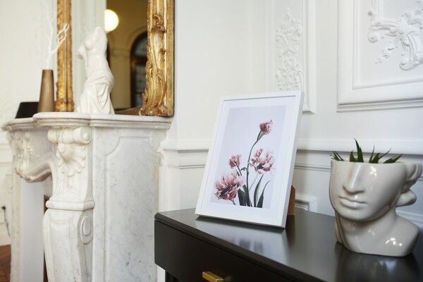 Foto van Weelderig appartement Louvre Museum Concorde - Vakantiehuis in Paris - 