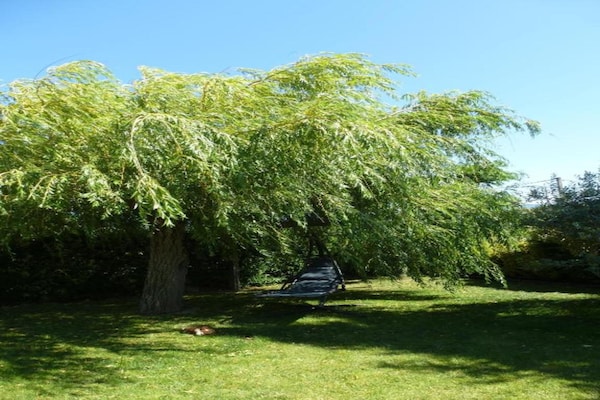 Foto van Vakantiehuis in Le Thor met privézwembad - Vakantiehuis in Le Thor - AreaSummer20KM