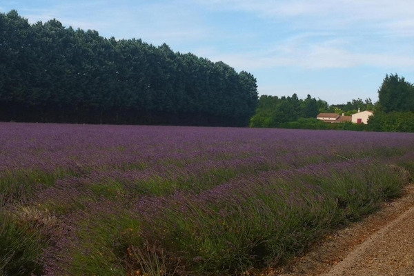 Foto van Vakantiehuis in Le Thor met privézwembad - Vakantiehuis in Le Thor - AreaSummer20KM
