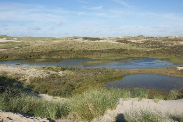 Foto van Appartement in Schoorl bij Duinen - Vakantiehuis in Schoorl - AreaSummer20KM