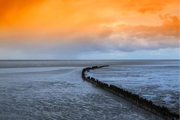 Foto van Ruimte om te verbinden: een kustvilla - Vakantiehuis in Wierum - AreaSummer20KM