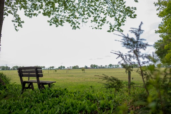Foto van Vakantiehuis in Lemele bij natuurgebied - Vakantiehuis in Overijssel - GardenSummer