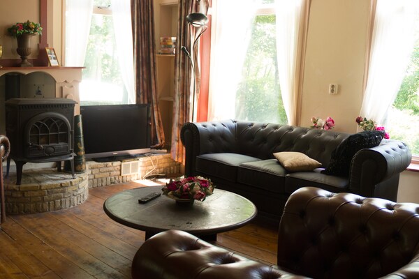 Foto van Luxe landhuis in Pingjum met een sauna - Vakantiehuis in Pingjum - LivingRoom