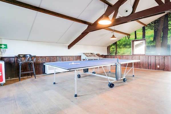 Foto van Prachtige boerderij met sauna - Vakantiehuis in Noardburgum - RecreationRoom