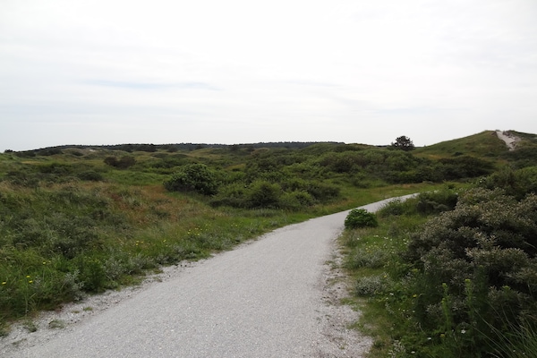 Foto van Rustig vakantiehuis - Vakantiehuis in Oostmahorn - AreaSummer20KM