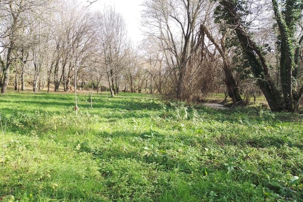Foto van Vakantiehuis in Covas met Zwembad en Natuur - Vakantiehuis in Covas - AreaSummer20KM
